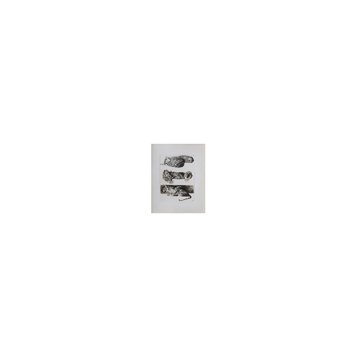  - SHOP.TKF54.fr