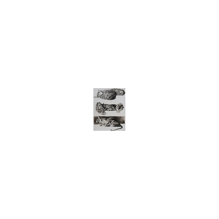  - SHOP.TKF54.fr