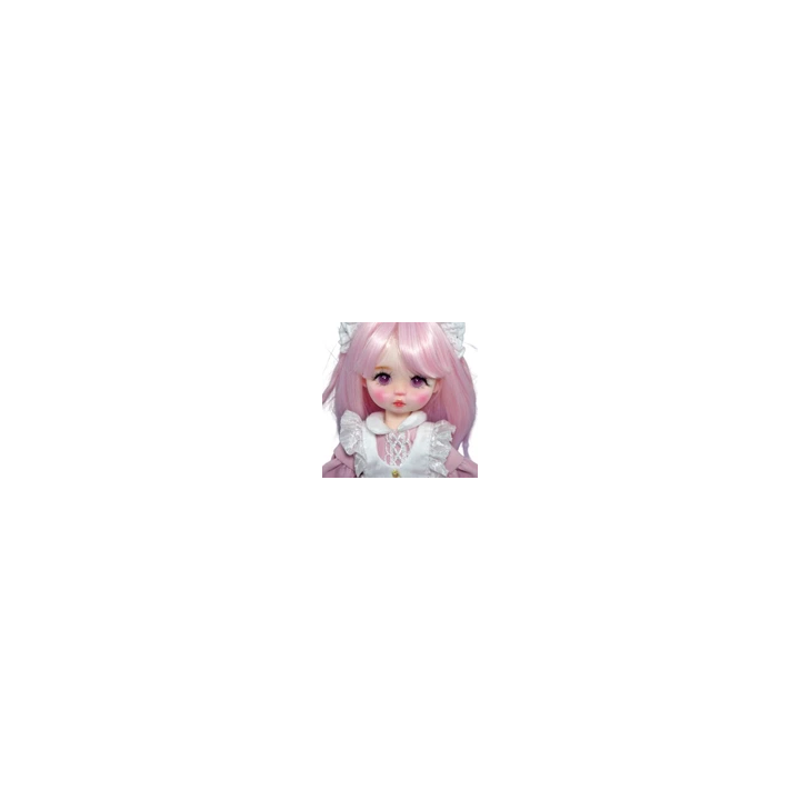 NOUVELLE ANNONCEPoupée BJD 30cm Avec 2 Yeux Différents Couleur