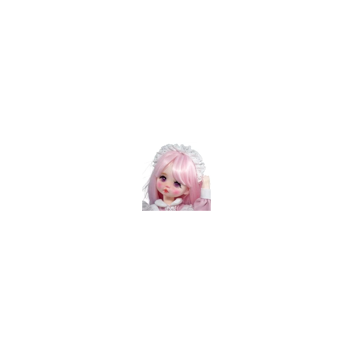 NOUVELLE ANNONCEPoupée BJD 30cm Avec 2 Yeux Différents Couleur