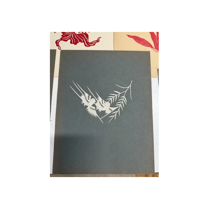  - SHOP.TKF54.fr