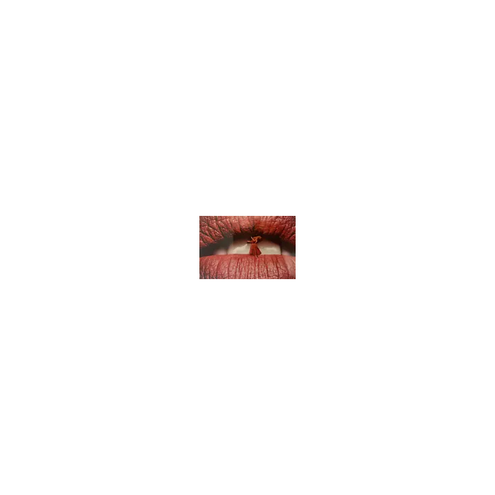  - SHOP.TKF54.fr