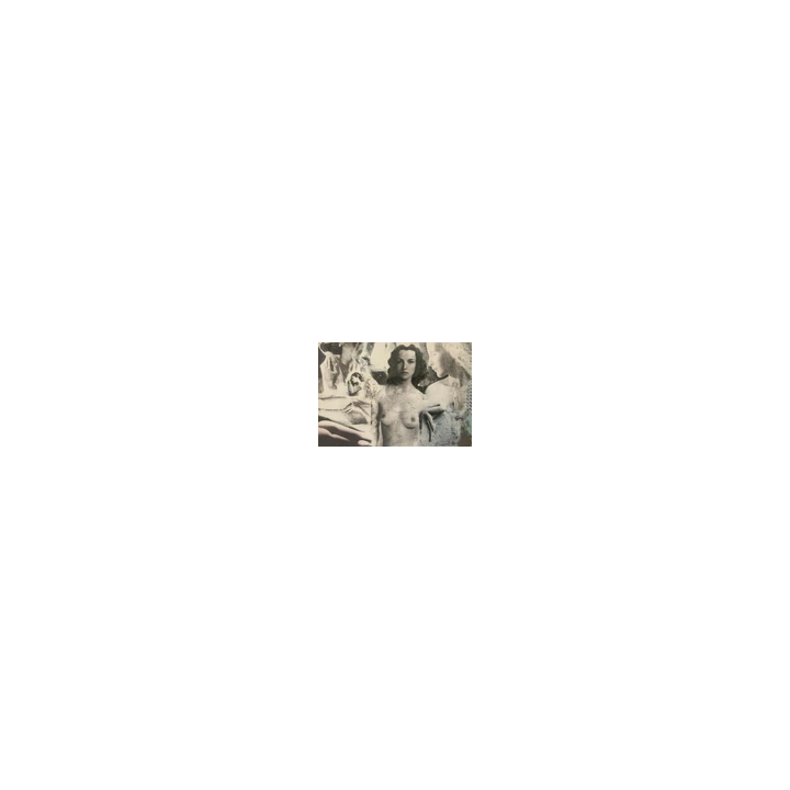 NOUVELLE ANNONCEPHOTO STEREO EROTIQUE sur verre NU FEMININ 1900 