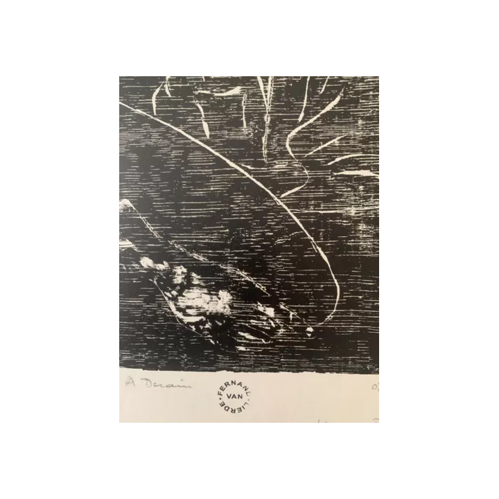 1901Ver Sacrum Akseli Gallen-KallelaKlimt VienneCouverture - SHO