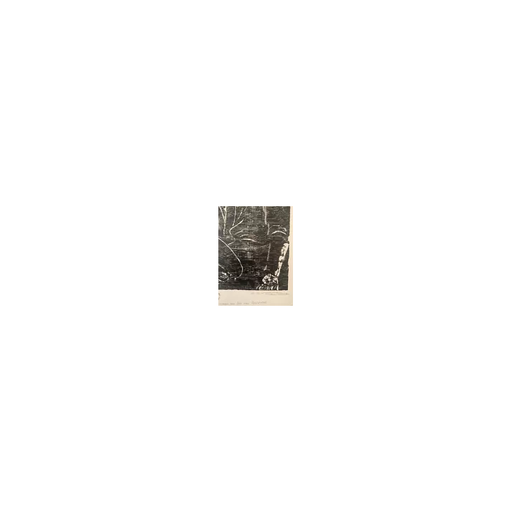 1901Ver Sacrum Akseli Gallen-KallelaKlimt VienneCouverture - SHO