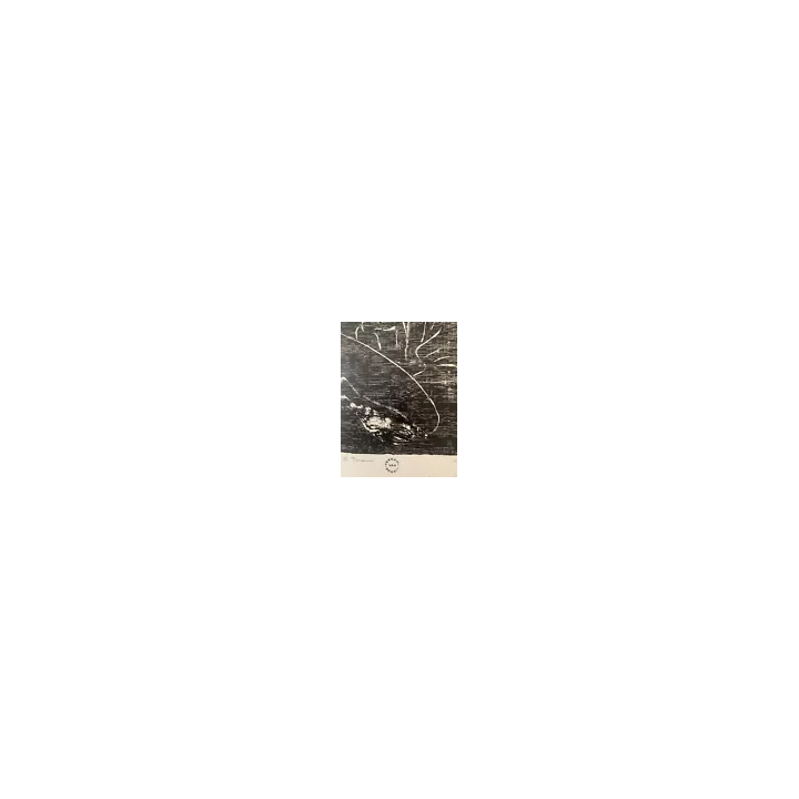 1901Ver Sacrum Akseli Gallen-KallelaKlimt VienneCouverture - SHO