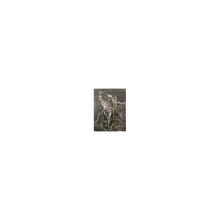 1901Ver Sacrum Akseli Gallen-KallelaKlimt VienneCouverture - SHO