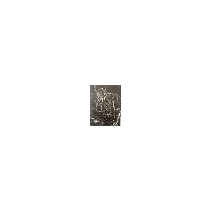 1901Ver Sacrum Akseli Gallen-KallelaKlimt VienneCouverture - SHO