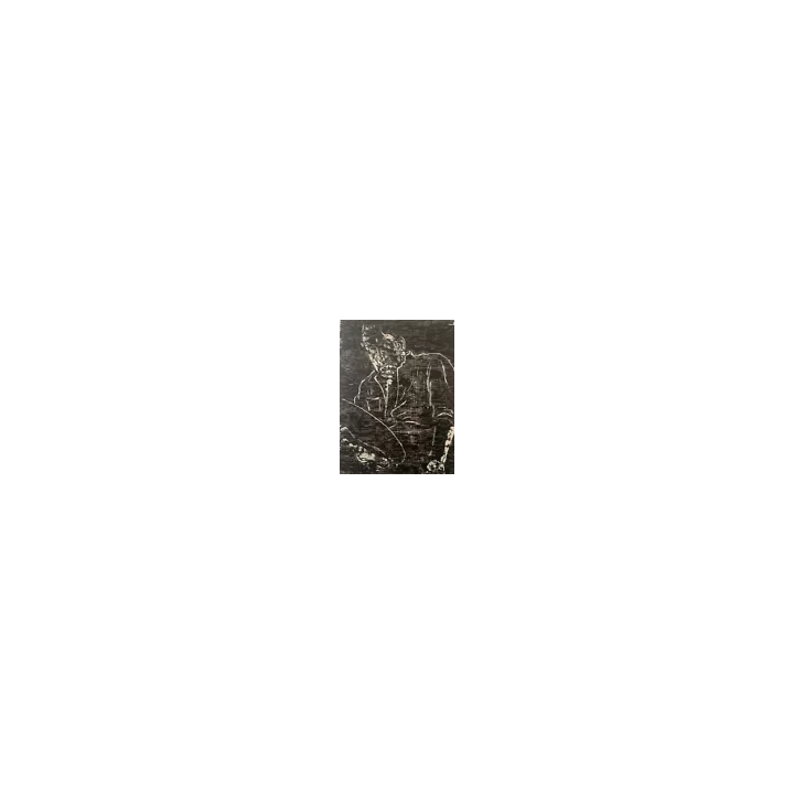 1901Ver Sacrum Akseli Gallen-KallelaKlimt VienneCouverture - SHO