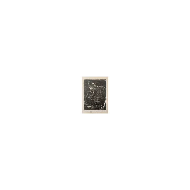 1901Ver Sacrum Akseli Gallen-KallelaKlimt VienneCouverture - SHO