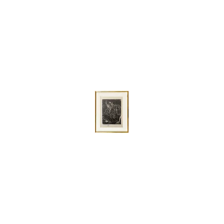 1901Ver Sacrum Akseli Gallen-KallelaKlimt VienneCouverture - SHO