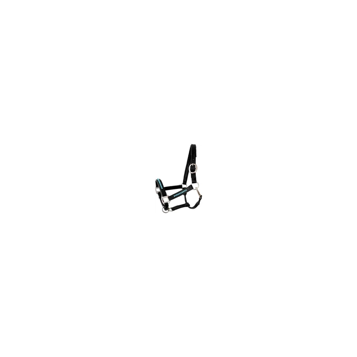  - SHOP.TKF54.fr