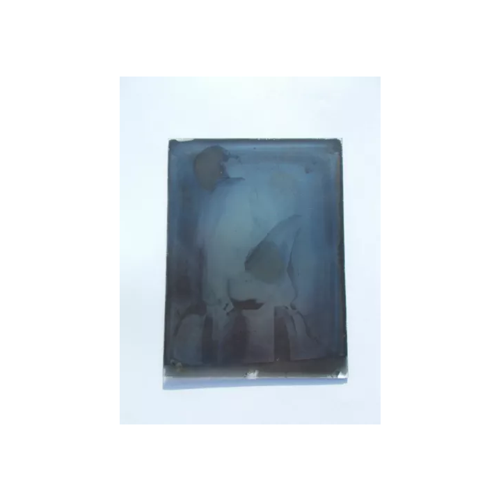 NOUVELLE ANNONCENEGATIF PLAQUE VERRE PHOTO PHOTOGRAPHIE NU NUDE 