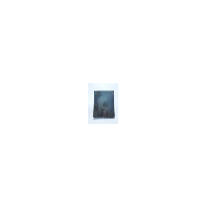 NOUVELLE ANNONCENEGATIF PLAQUE VERRE PHOTO PHOTOGRAPHIE NU NUDE 