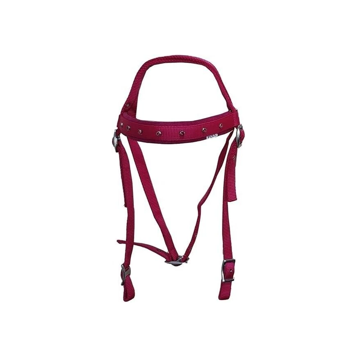 Bottines déquitation Cavallo Lace Slim taille 42 - SHOP.TKF54.f