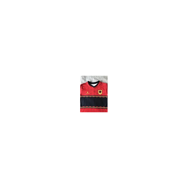 Flocage Football PSG 2024 2025 UCL monblason Paris Saint-Germain