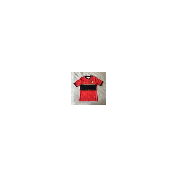 Flocage Football PSG 2024 2025 UCL monblason Paris Saint-Germain