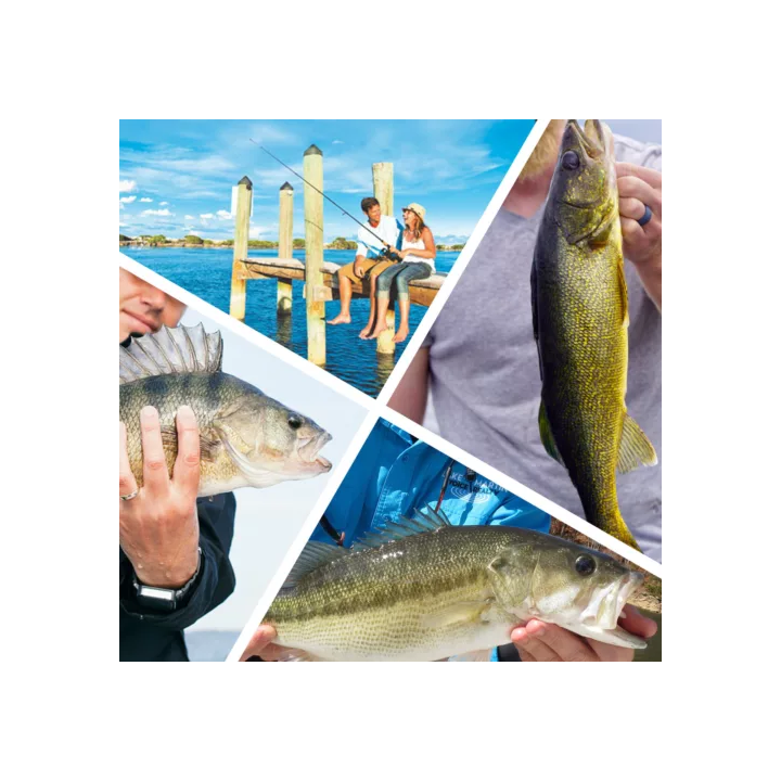 Megabass Gorham 147 F GORHAM 147F - 45g - SHOP.TKF54.fr