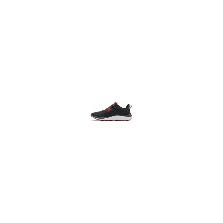 Chaussures de course Running Shoes HOMME Altra M EXPERIENCE FORM