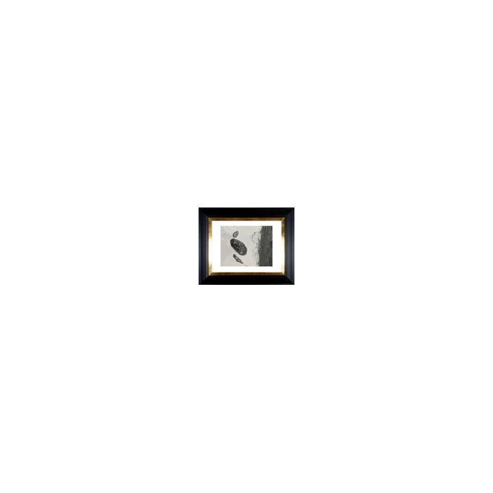  - SHOP.TKF54.fr