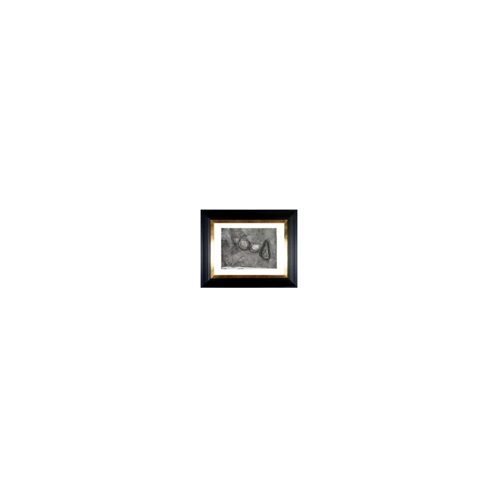 - SHOP.TKF54.fr