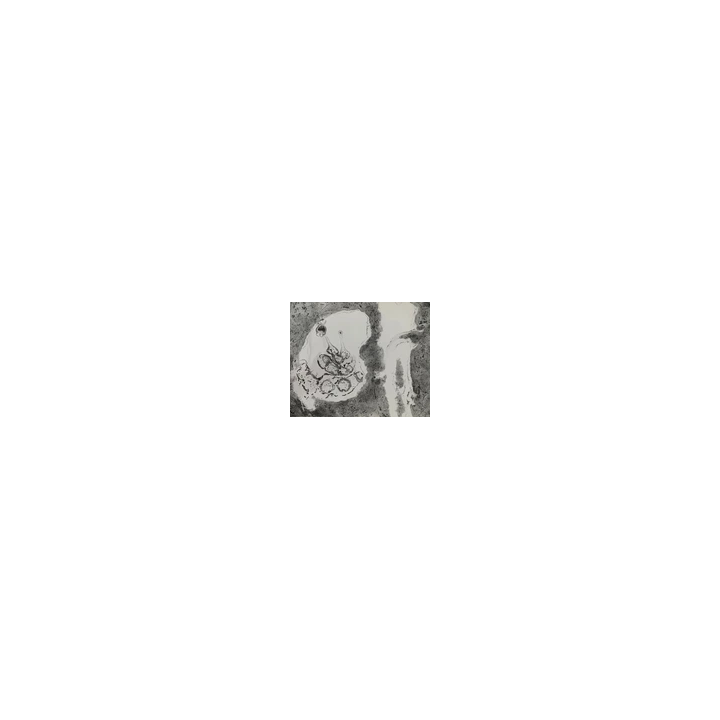 NOUVELLE ANNONCEPHOTO STEREO EROTIQUE sur verre NU FEMININ 1900 