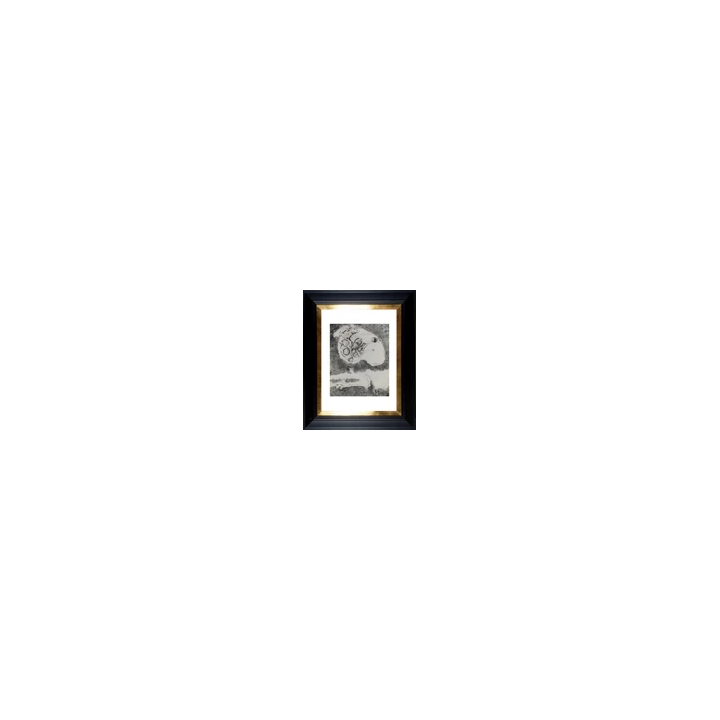 NOUVELLE ANNONCEPHOTO STEREO EROTIQUE sur verre NU FEMININ 1900 