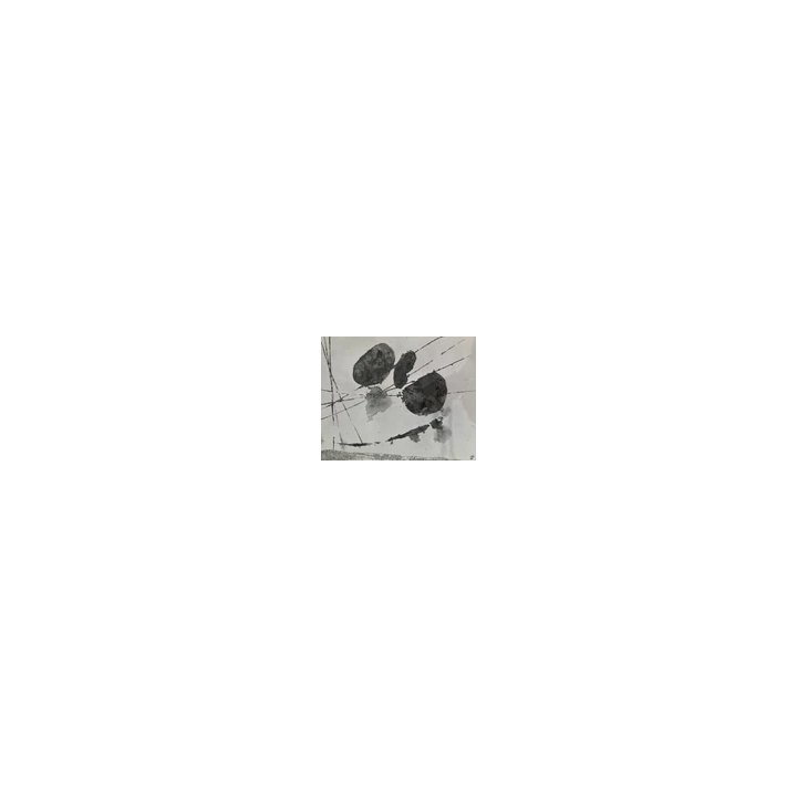 NOUVELLE ANNONCESUISSE Lauterbrunnen 1913 Photo Plaque de verre 