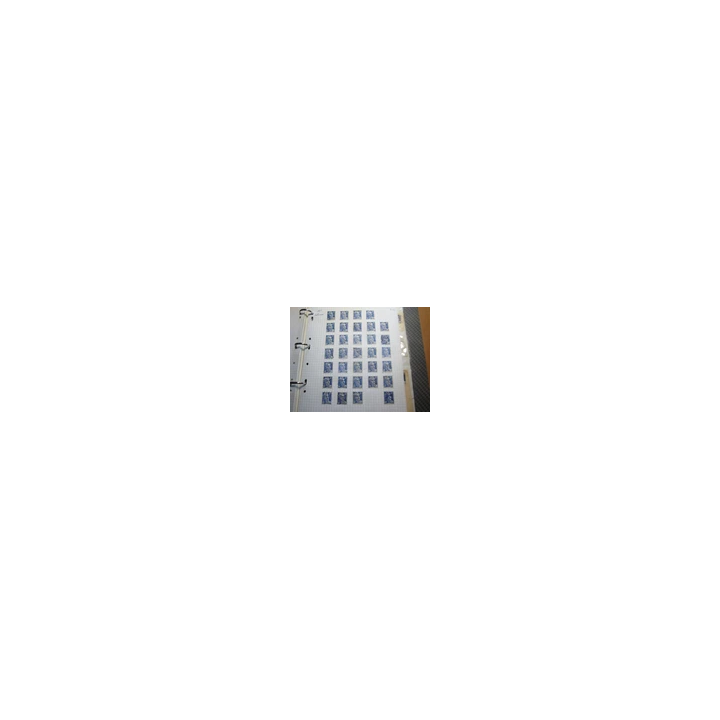  - SHOP.TKF54.fr