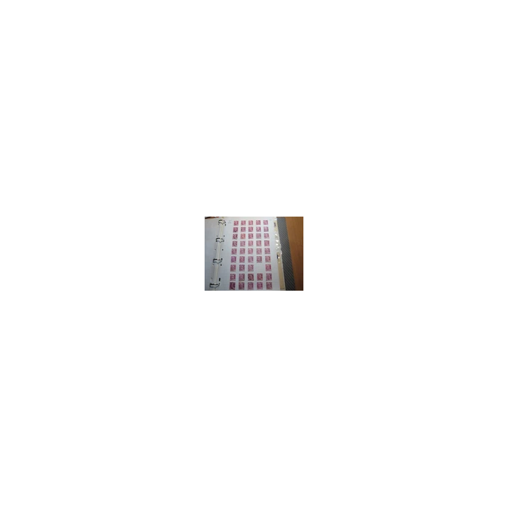  - SHOP.TKF54.fr