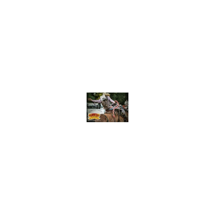 Poitrine western en cuir neuve de toutes tailles et couleurs - S