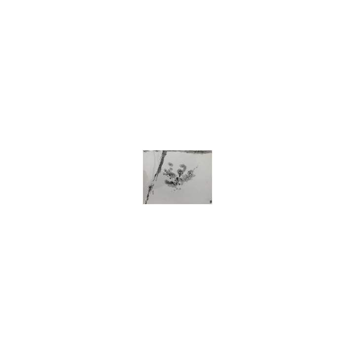  - SHOP.TKF54.fr