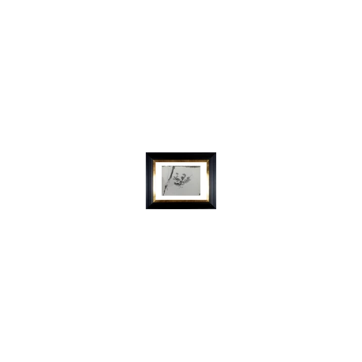  - SHOP.TKF54.fr