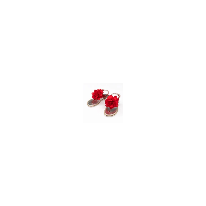 - SHOP.TKF54.fr
