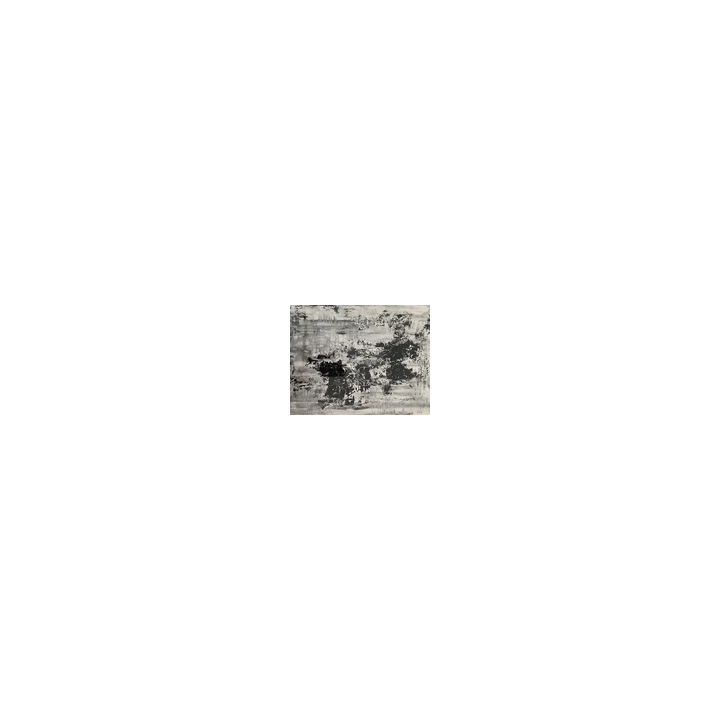 PHOTOGRAPHE  PEINTRE GASTON XHARDEZ 1924-1996 PHOTOGRAPHIE ARGEN