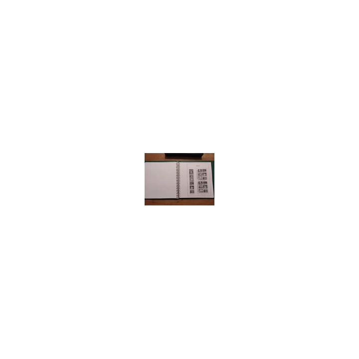 TIMBRES FRANCE NEUFS  2013 FEUILLET MARIANNE DE CIAPPA ET KAWENA