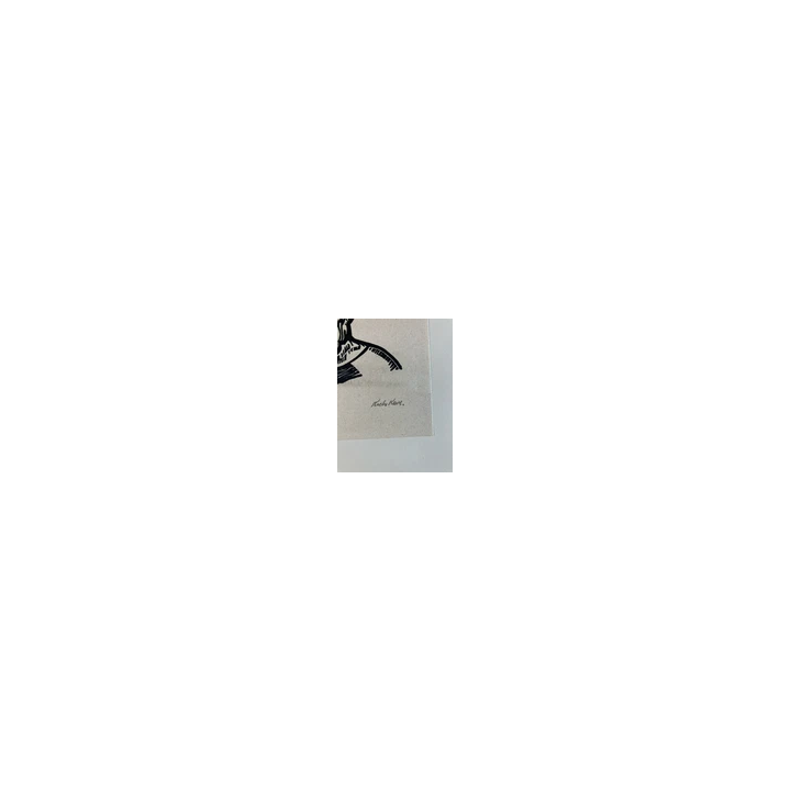  - SHOP.TKF54.fr