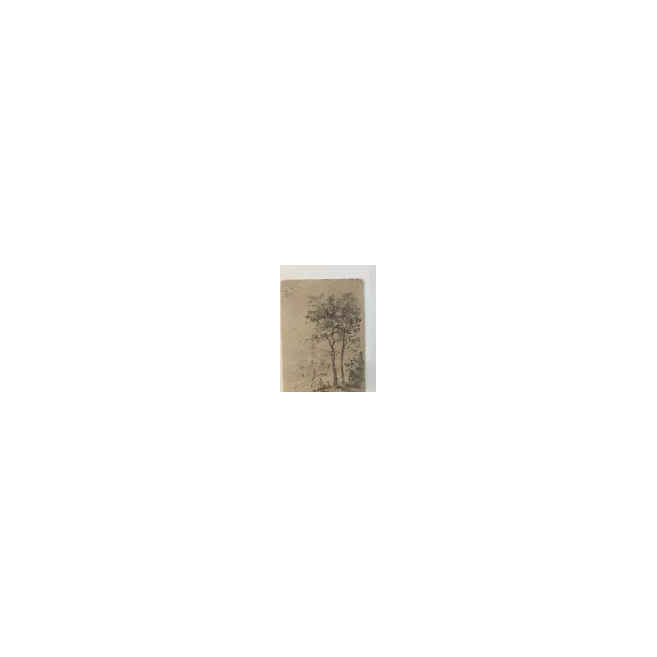NOUVELLE ANNONCEEncre Lavis Sur Papier XIXe Expressionniste Expr