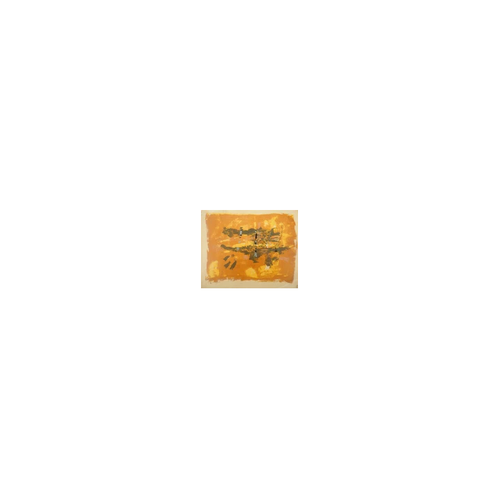  - SHOP.TKF54.fr