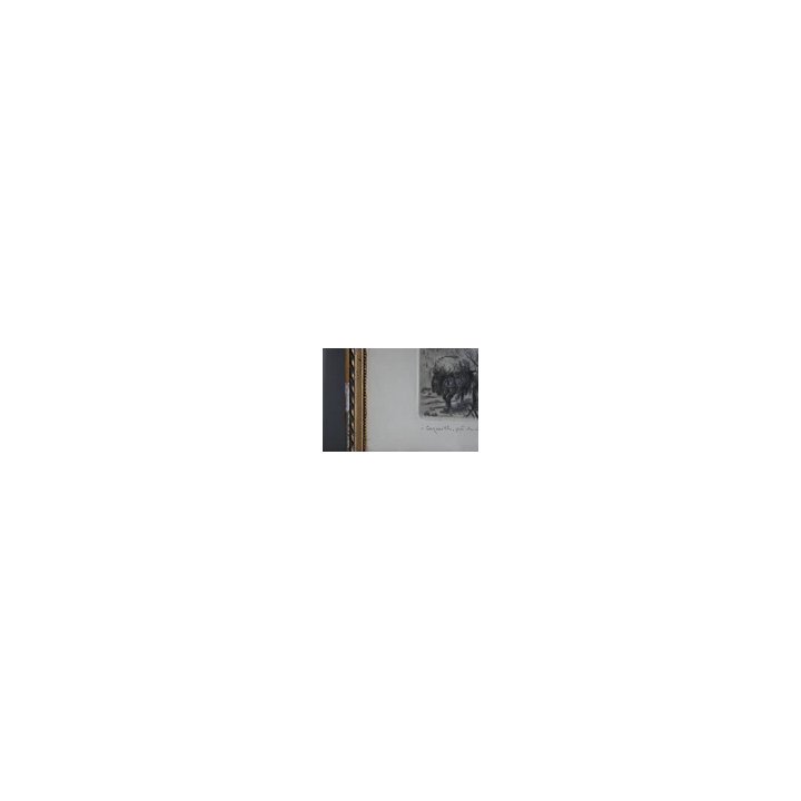  - SHOP.TKF54.fr
