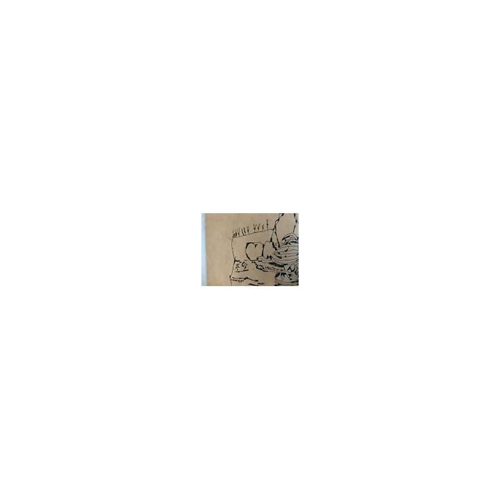 NOUVELLE ANNONCEBeau Dessin Oiseau Mine De Plomb Cubiste Cubisme