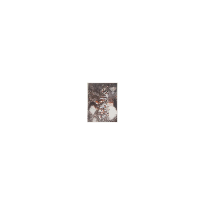  - SHOP.TKF54.fr