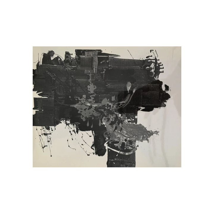 PHOTOGRAPHE  PEINTRE GASTON XHARDEZ 1924-1996 PHOTOGRAPHIE ARGEN