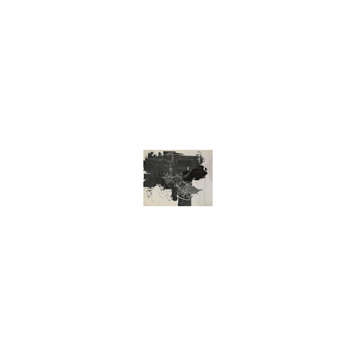 PHOTOGRAPHE  PEINTRE GASTON XHARDEZ 1924-1996 PHOTOGRAPHIE ARGEN